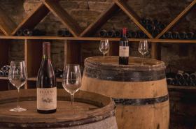 Alfred Hotels Beaune La Madeleine - photo 17
