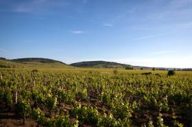 Kyriad Prestige Beaune le Panorama - photo 19