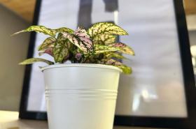 ibis Budget Beaune - photo 9